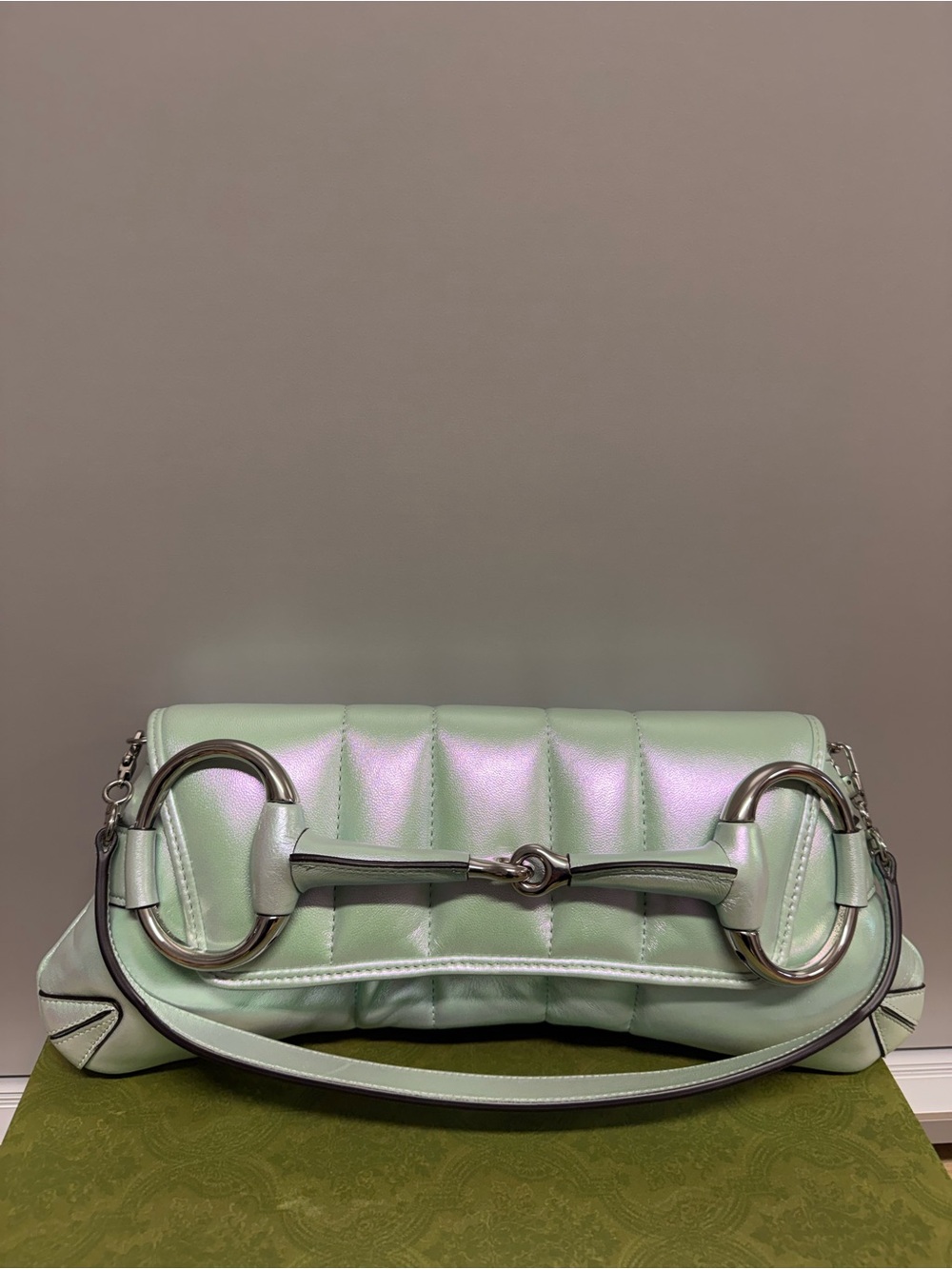 Gucci Iridescent Mint Shoulder Bag with Horsebit RingsGUCCI HORSEBIT BAH
